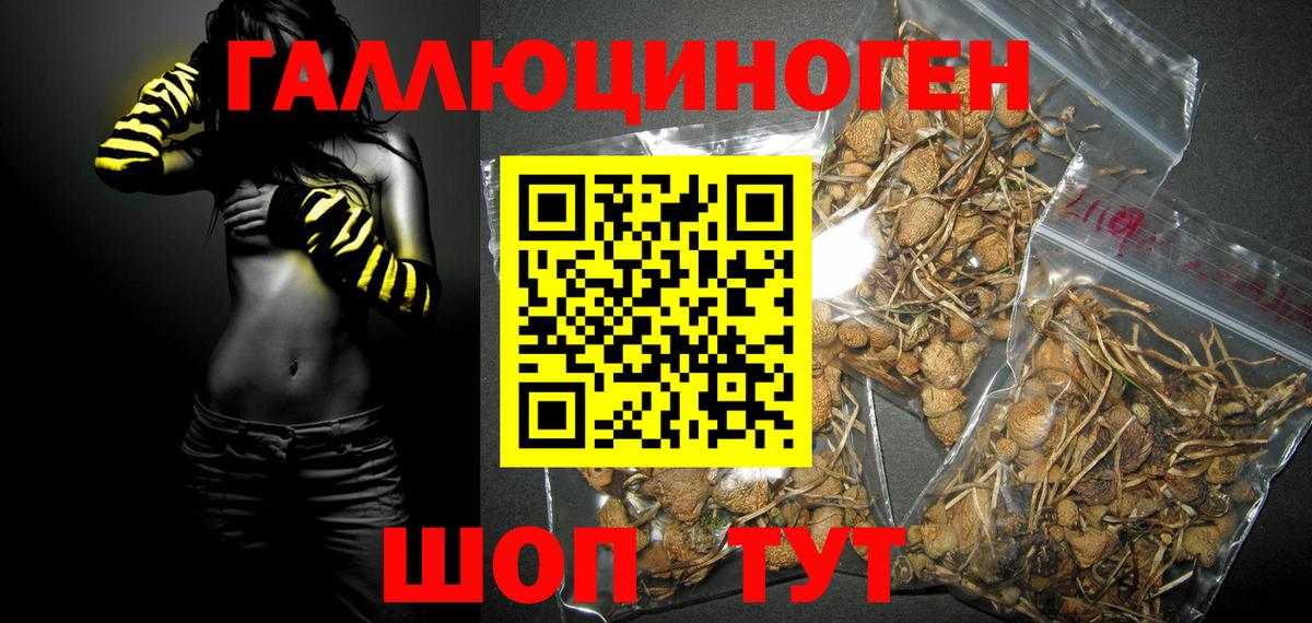 Галлюциногенные грибы мицелий Сатка